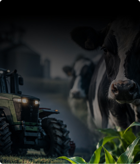 Informe agroganadero
